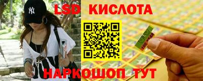 индика Вязьма