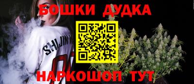 индика Вязьма