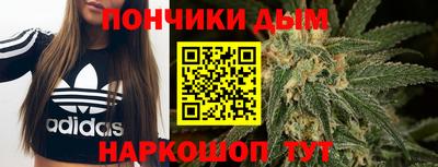 индика Вязьма