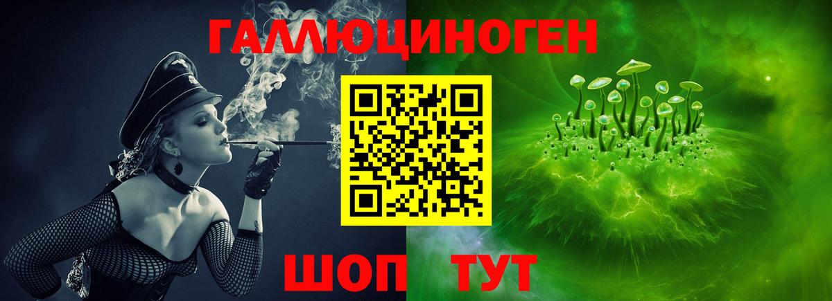 Псилоцибиновые грибы Psilocybine cubensis  Псилоцибиновые грибы MAGIC MUSHROOMS  Видное  купить наркотик  Вход с VPN 